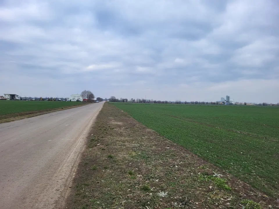 Vand teren 65000 mp Moara Vlasiei la sosea Industrial Depozitare img 8